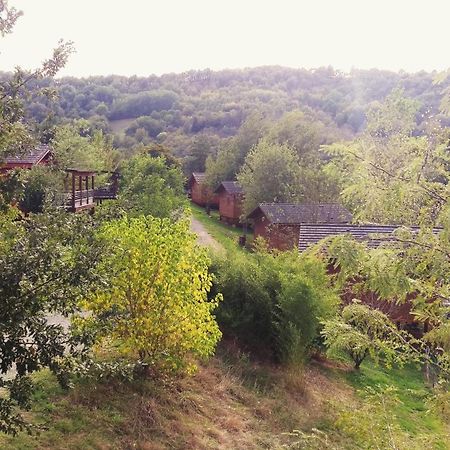 La Ferme Du Duzou Saint-Cyprien-sur-Dourdou Exterior foto