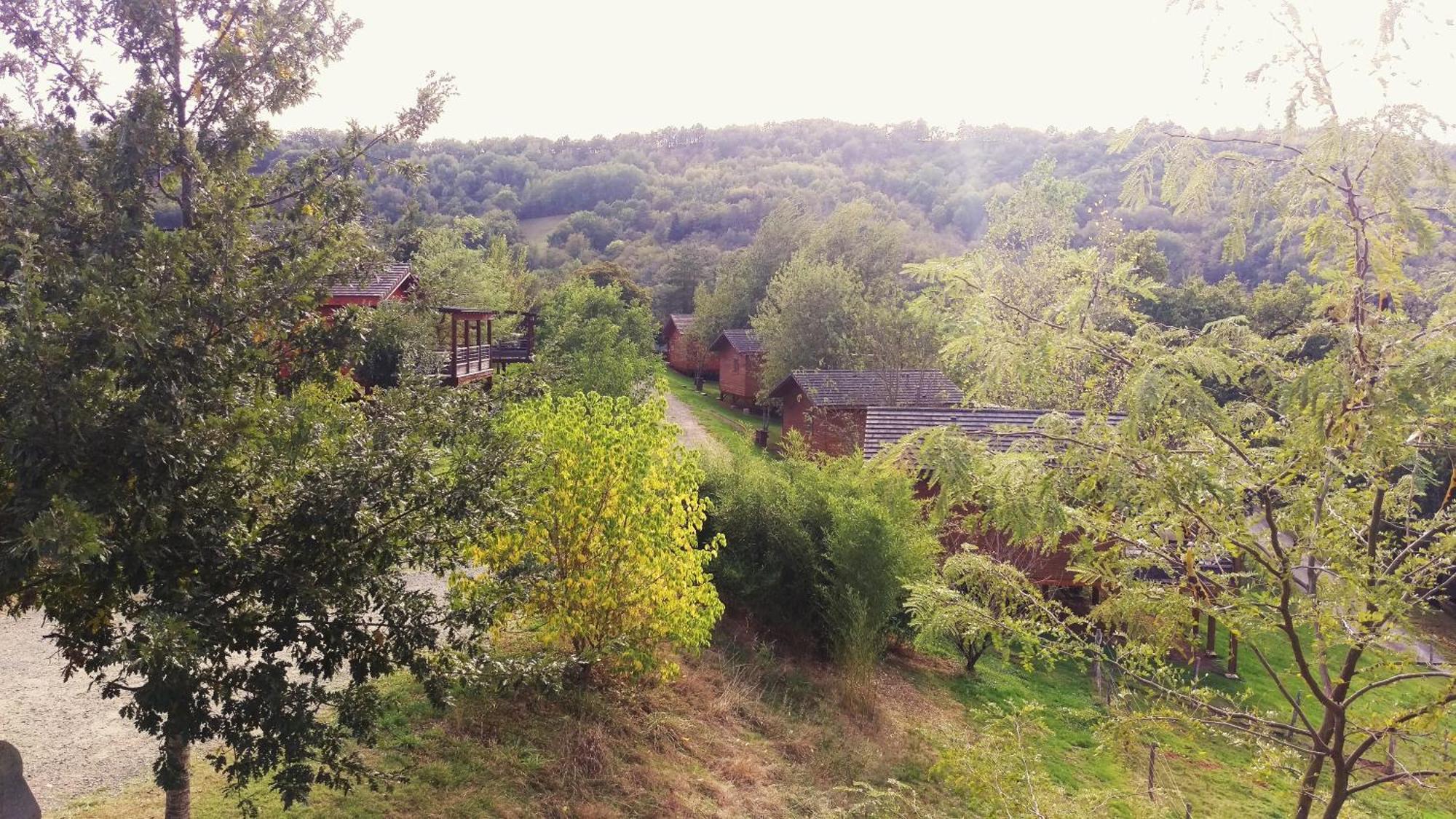 La Ferme Du Duzou Saint-Cyprien-sur-Dourdou Exterior foto