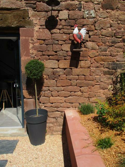 La Ferme Du Duzou Saint-Cyprien-sur-Dourdou Exterior foto